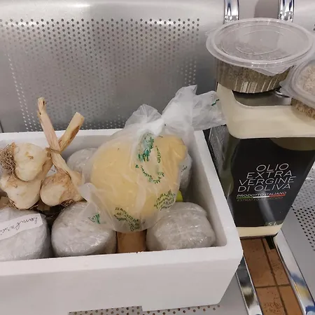 Tina's House バルレッタ