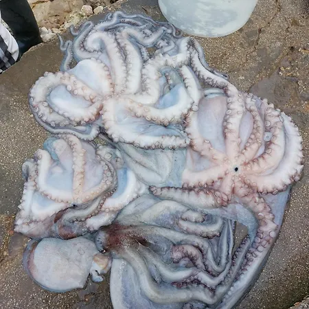 Tina's House ベッド・アンド・ブレックファスト